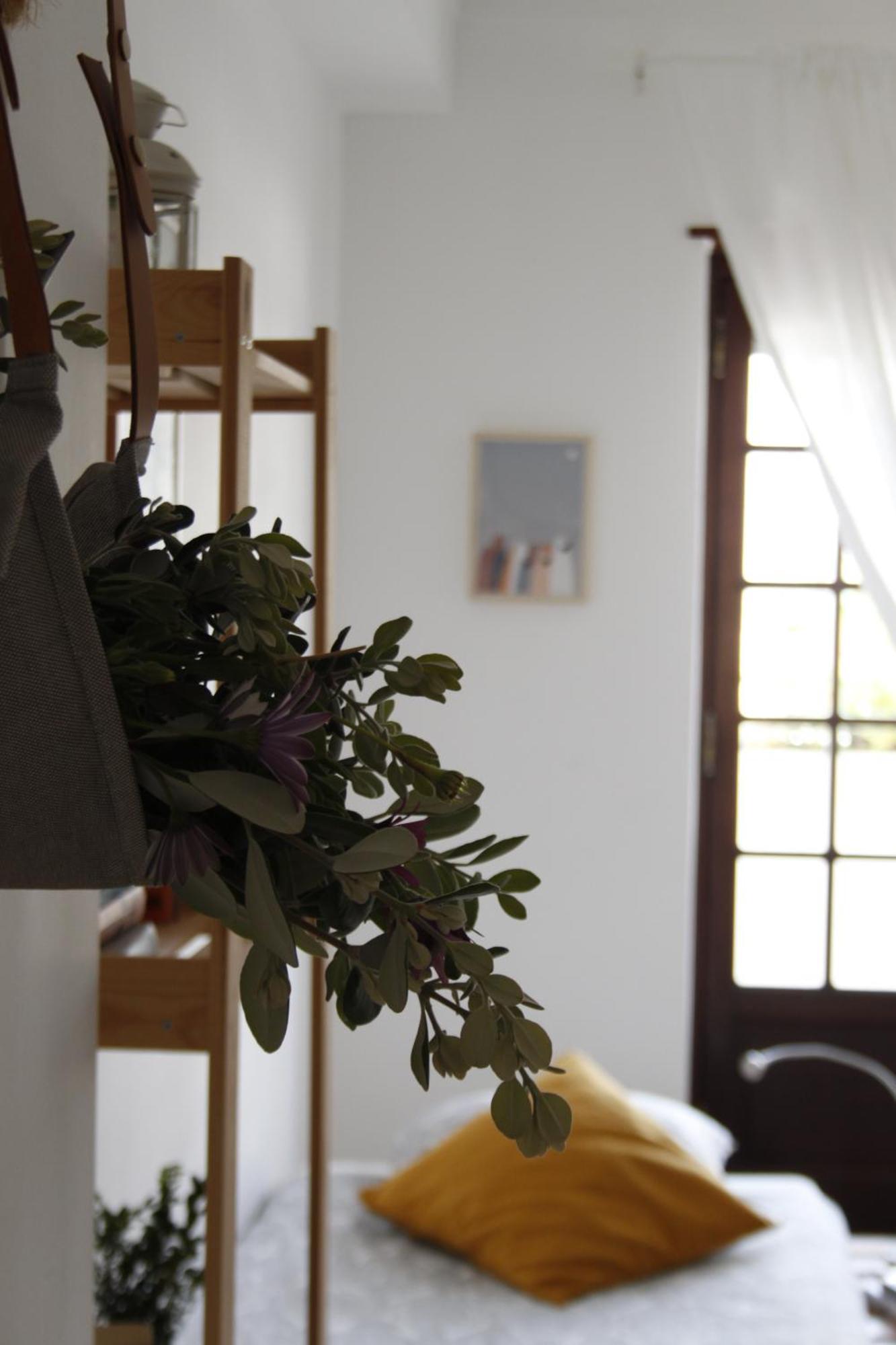 Boa Onda Guesthouse اتوغويه ده باليه الغرفة الصورة